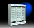 14YL-C 三門藥品陰涼箱