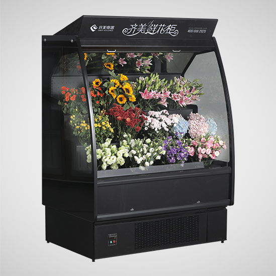 19AH鮮花保鮮柜