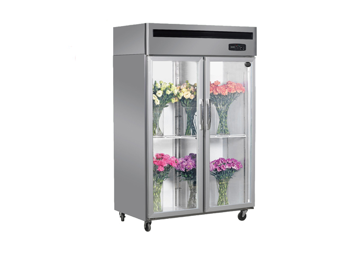 16HG-直冷鮮花柜