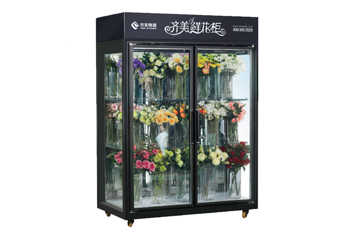 19FQ-鮮花保鮮柜